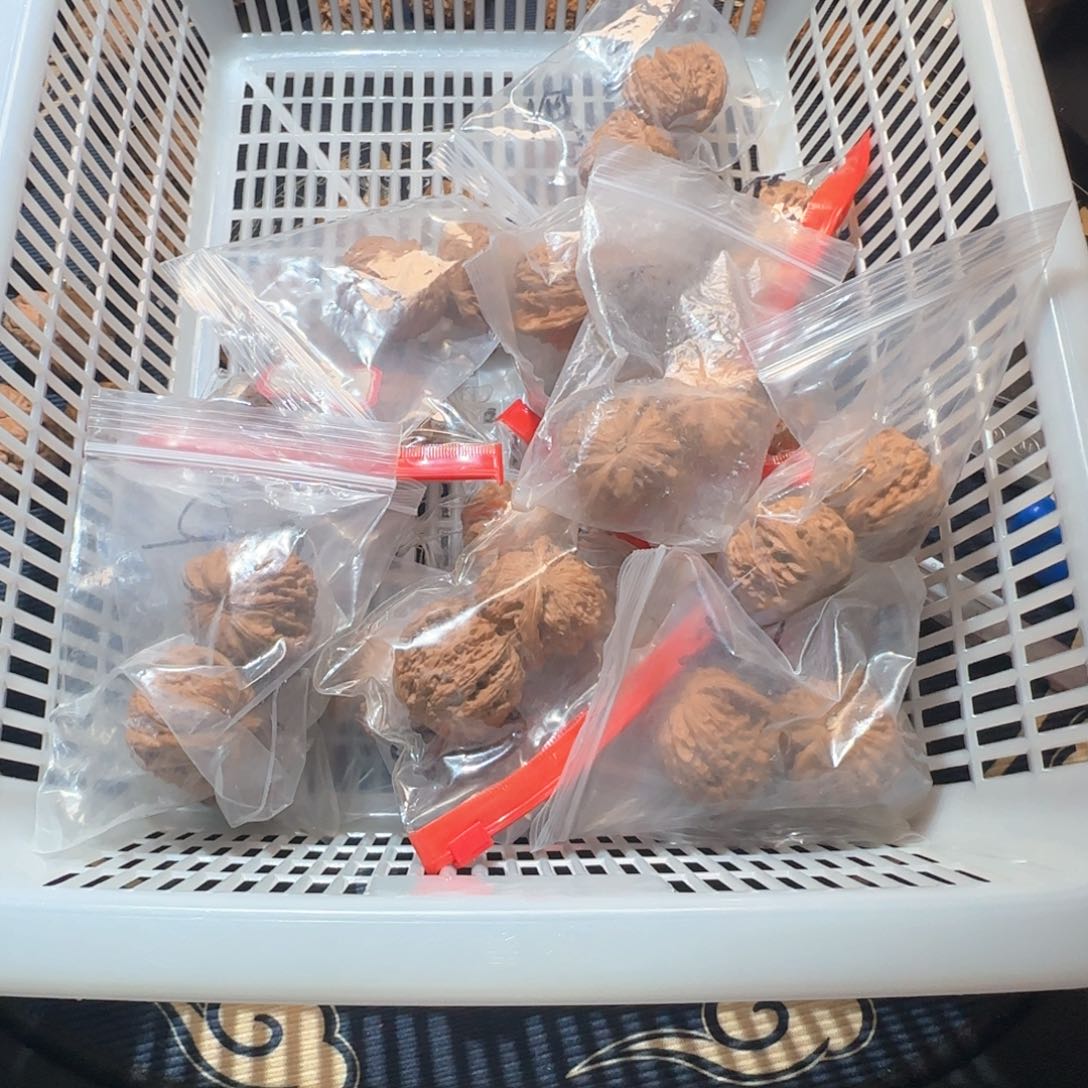 叁**?打包哈哈哈哈哈哈哈哈哈哈