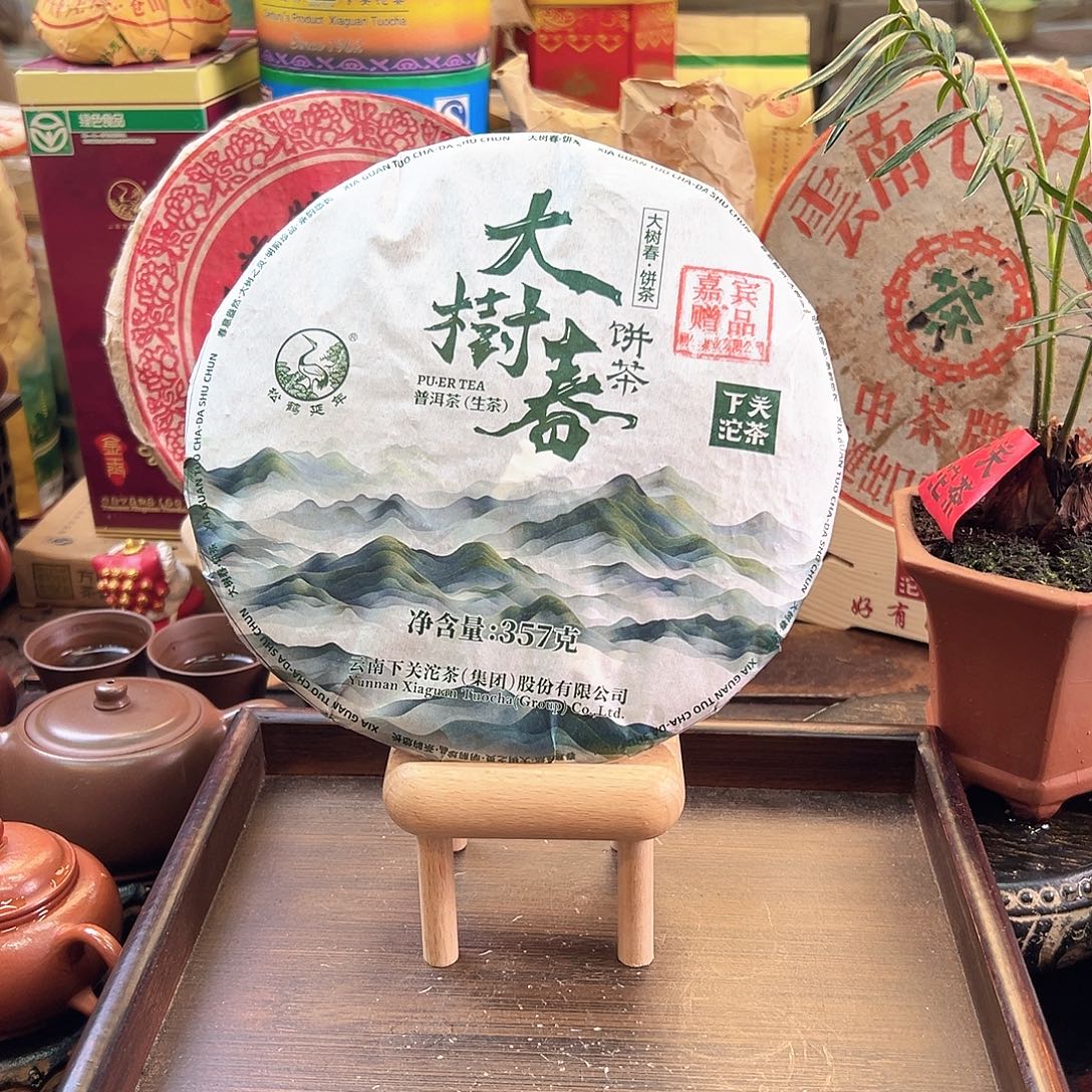 2024年下关大树春357克生茶