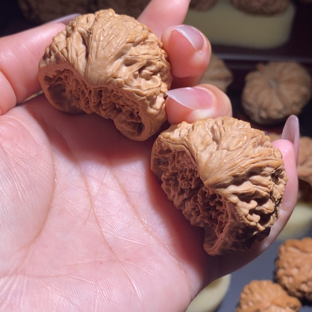 核桃全品聚宝盆蛇头40