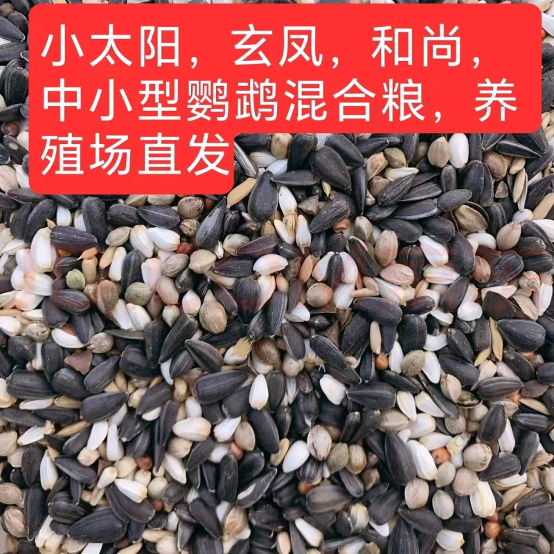 玄凤鹦鹉小太阳鹦鹉和尚鹦鹉鸟粮养殖厂科学配比健康放心