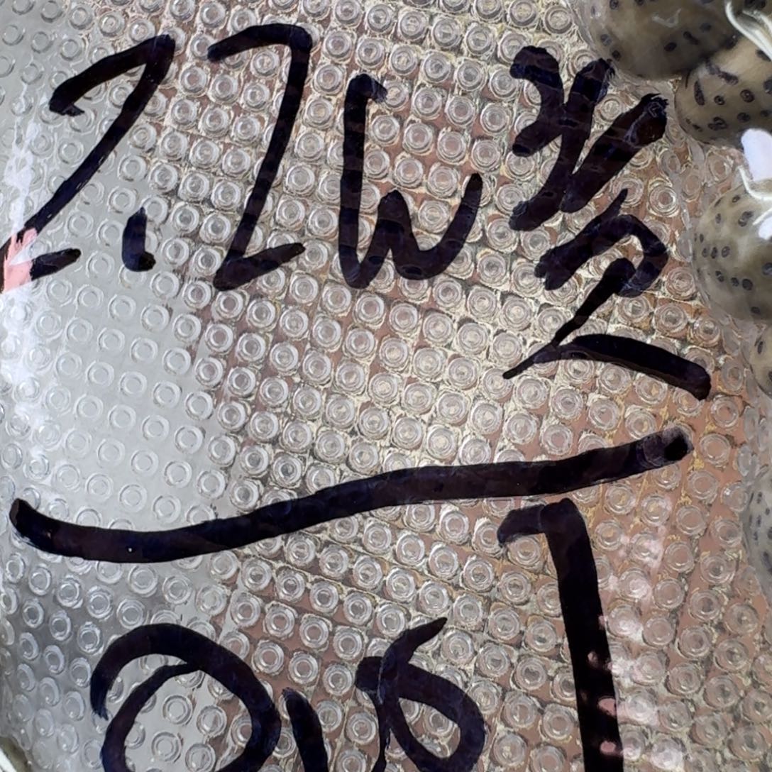 星月菩提吊坠葫芦青花手持