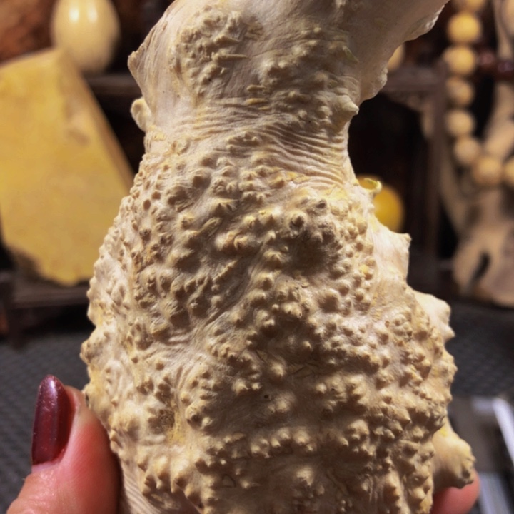 精**作木料木料木料木料木料