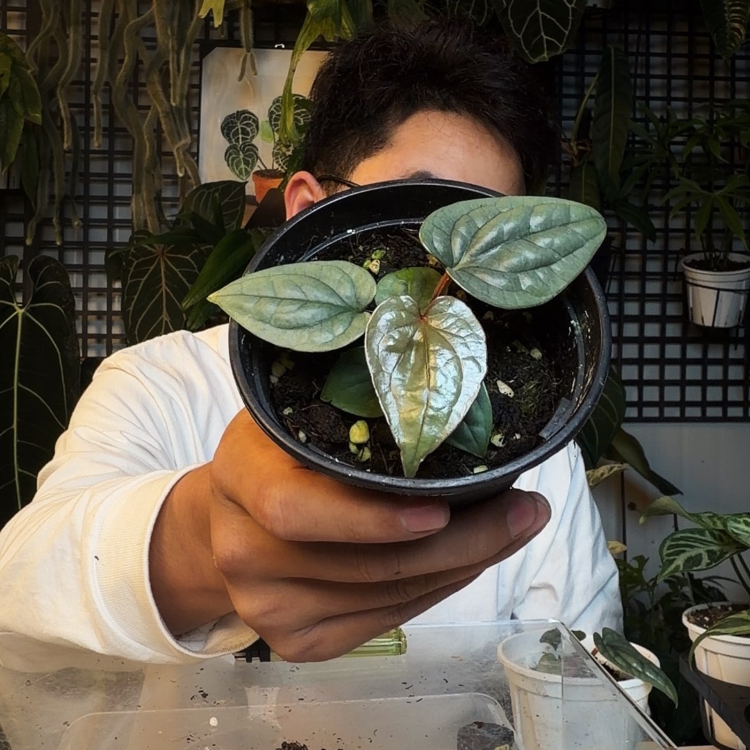 尼***吗完全开放O14籽播奢华