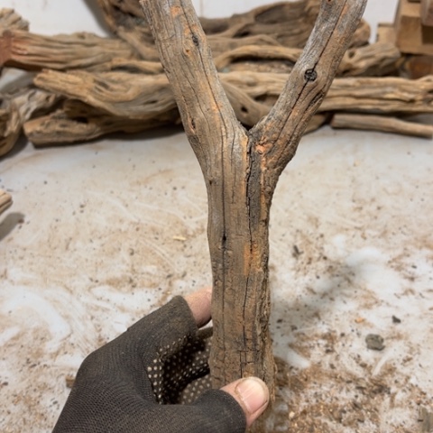 大果紫檀（缅甸花梨）N*