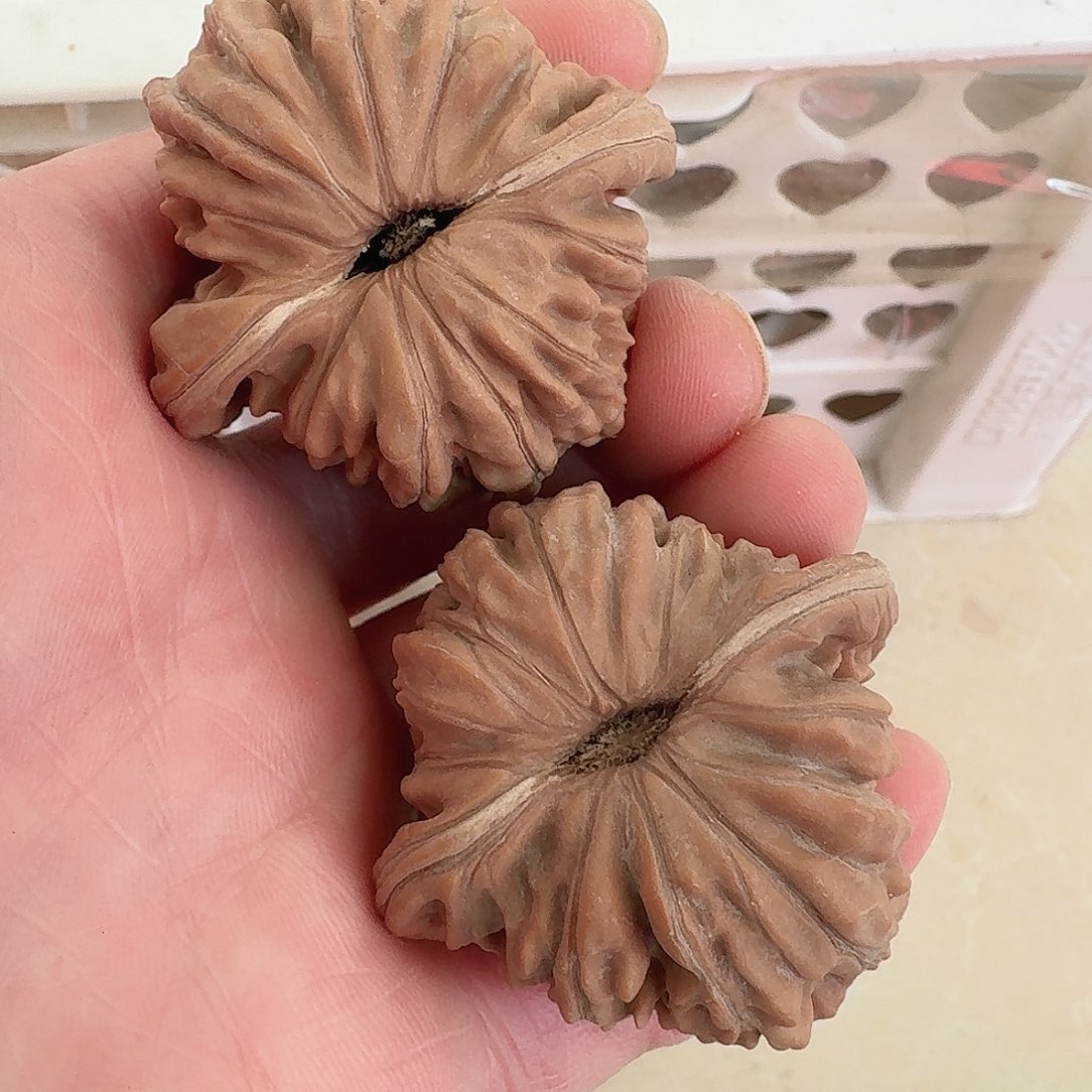 全品四座楼狮子头43