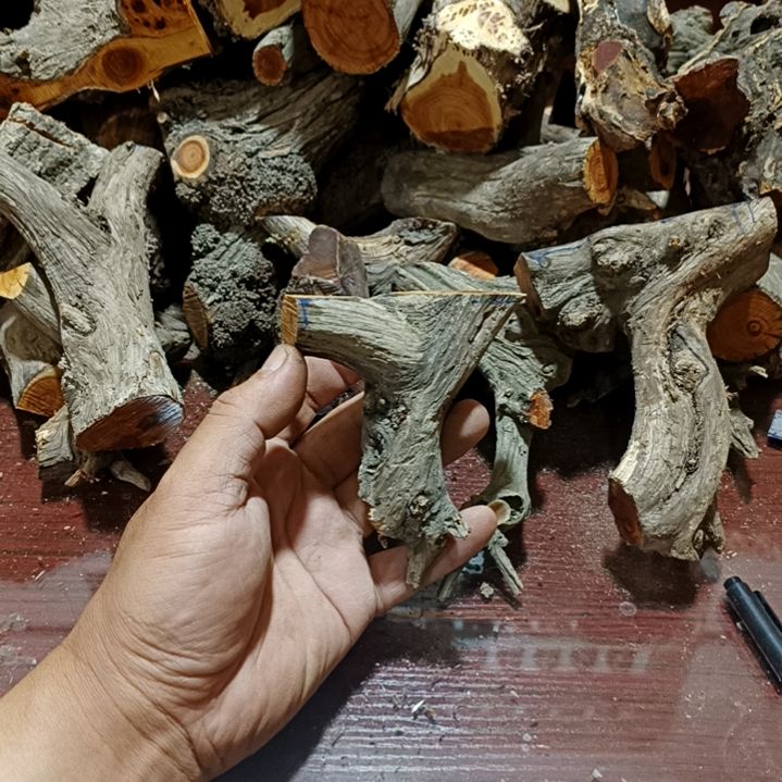 顺***天崖柏原叉崖柏原叉