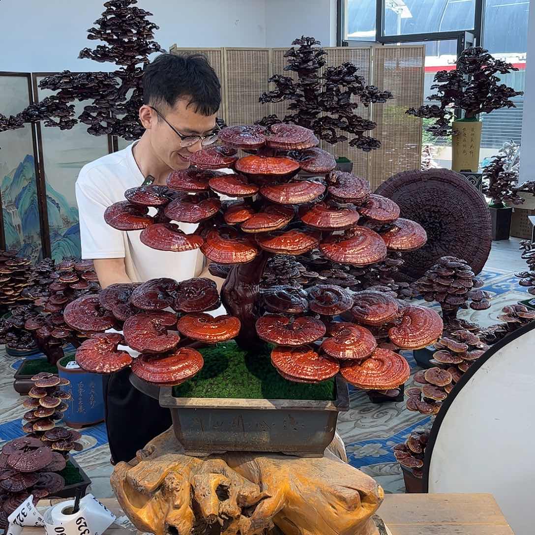 888888888888888888888