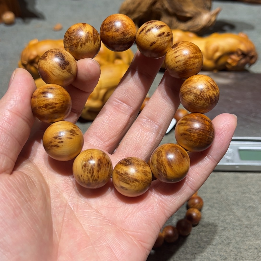 柏木（崖柏）北太行陈化崖柏