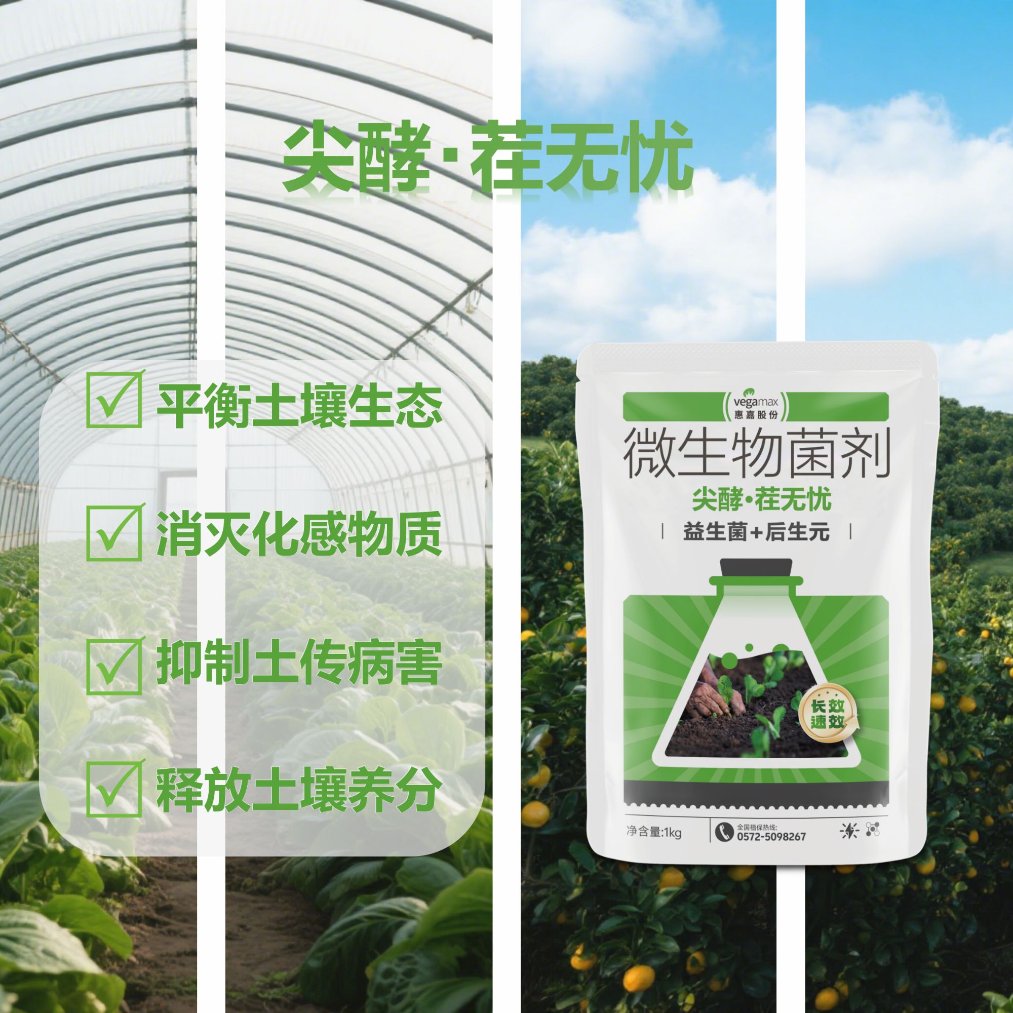 尖酵·茬无忧  连作障碍克星