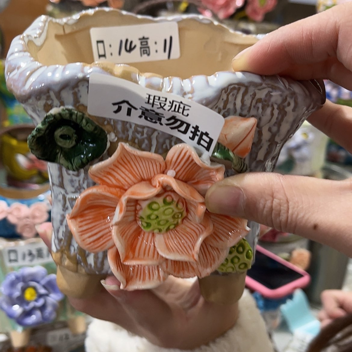 【闪购商品】红陶福利