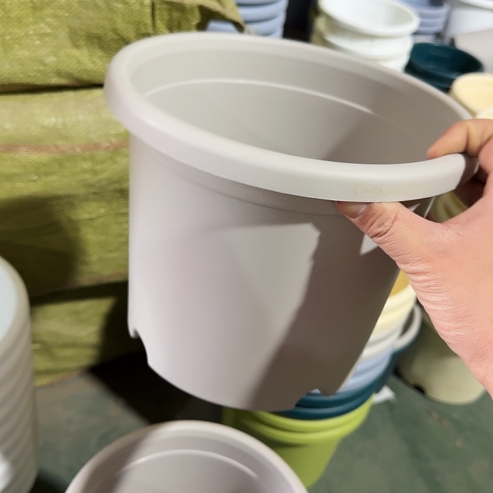 微瑕3#灰白10个无托