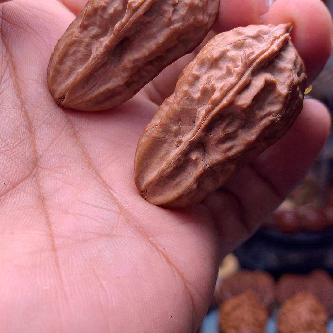 文玩核桃把件东北楸子