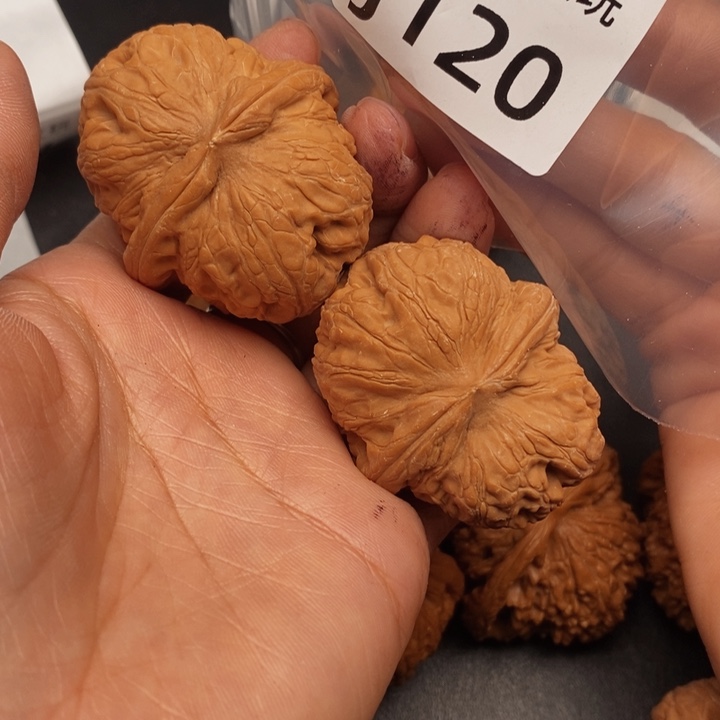 阿***@吊坠桃核J120元宝