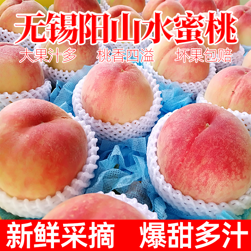 【亏本福利】无锡阳山水蜜桃白凤水果爆甜多汁新鲜果园直发