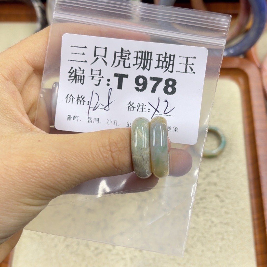 阳***照硅化珊瑚（珊瑚玉）未镶嵌h