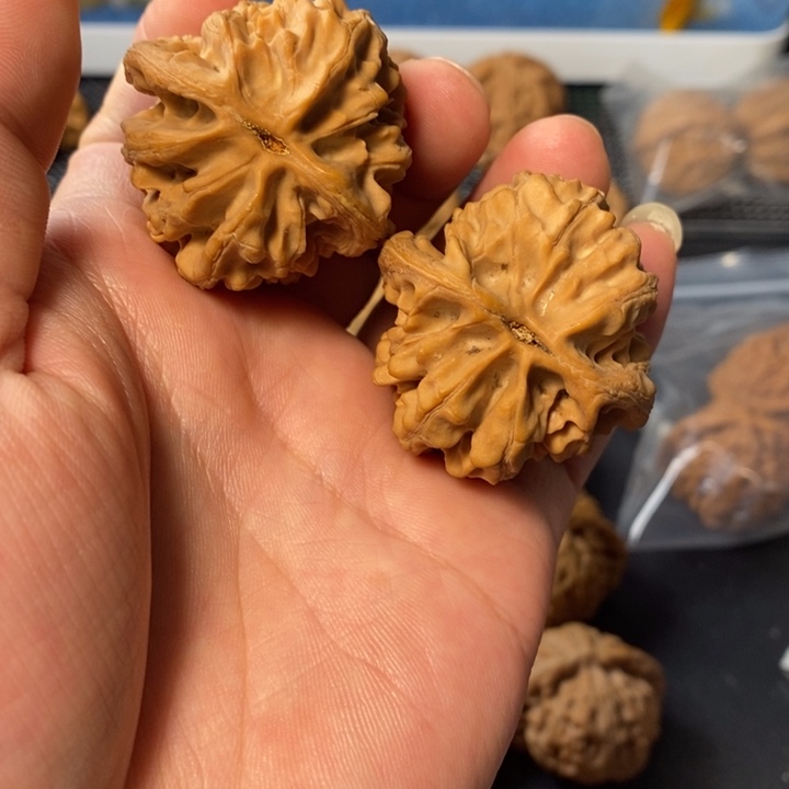 小***无把件桃核4664346788655