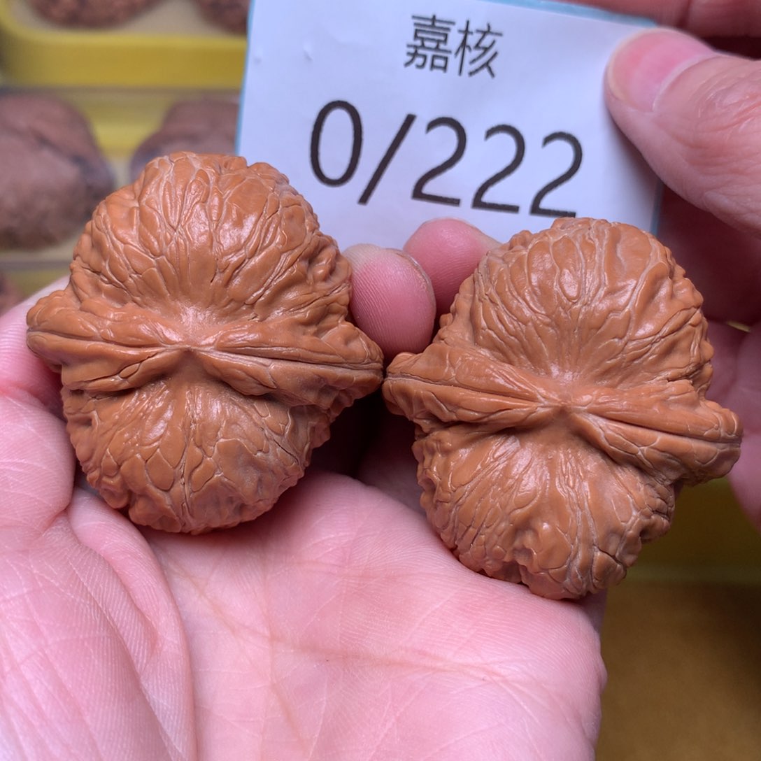 文玩核桃把件毕业肉球元宝44