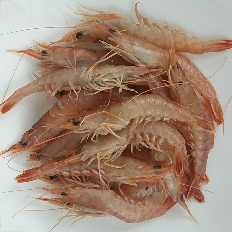 大连野生灯笼红虾 （大小混发 介意勿拍）蛎虾 鹰爪虾 冷冻 顺丰