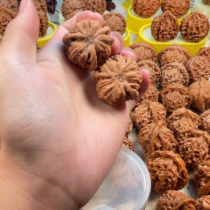 不***低吊坠桃核文山三棱