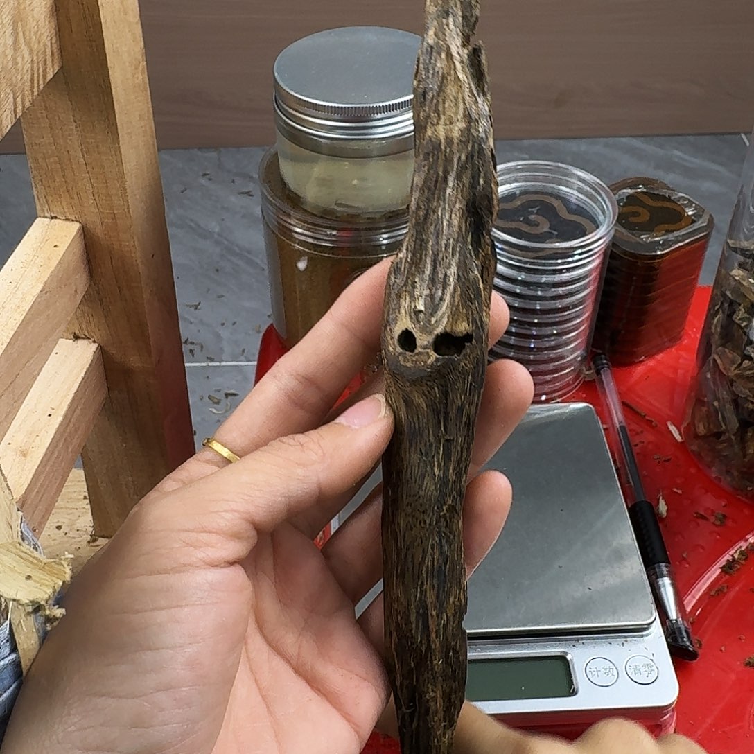 香料绿奇楠虫漏张勺子20克