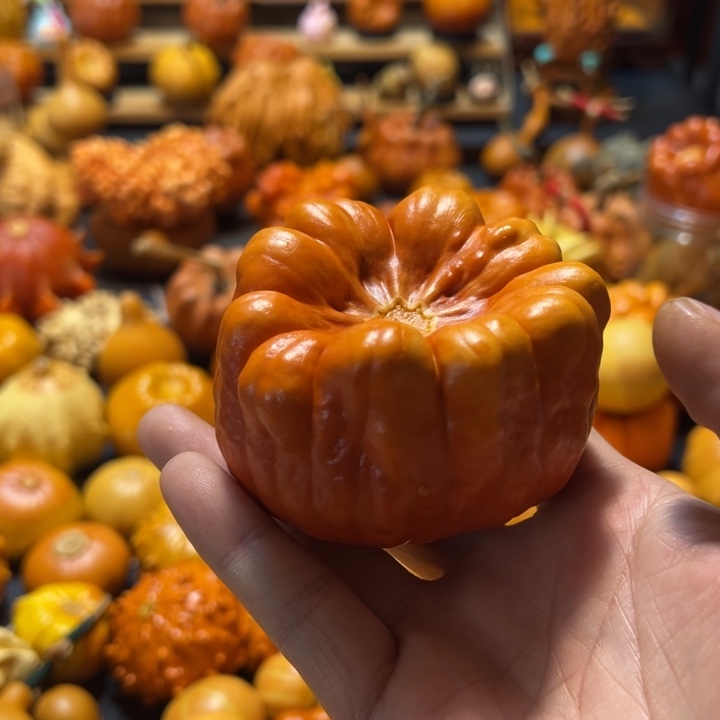 漫****室聚宝盆墨西哥疙瘩葫芦