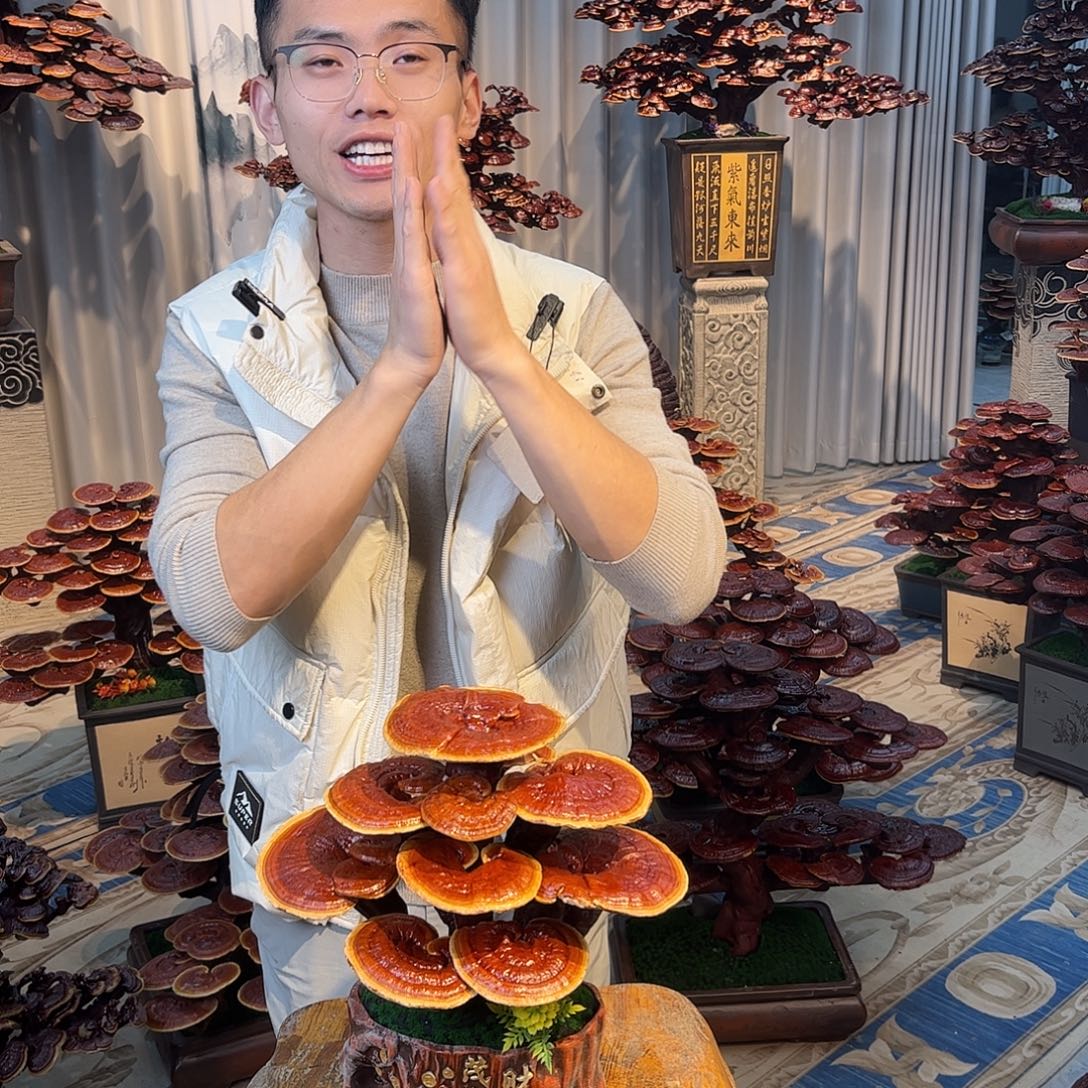 无花朵5888888888888