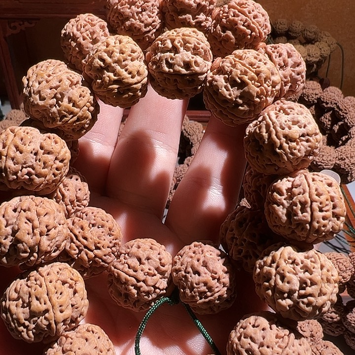 吊坠金刚菩提两条22梅花双龙