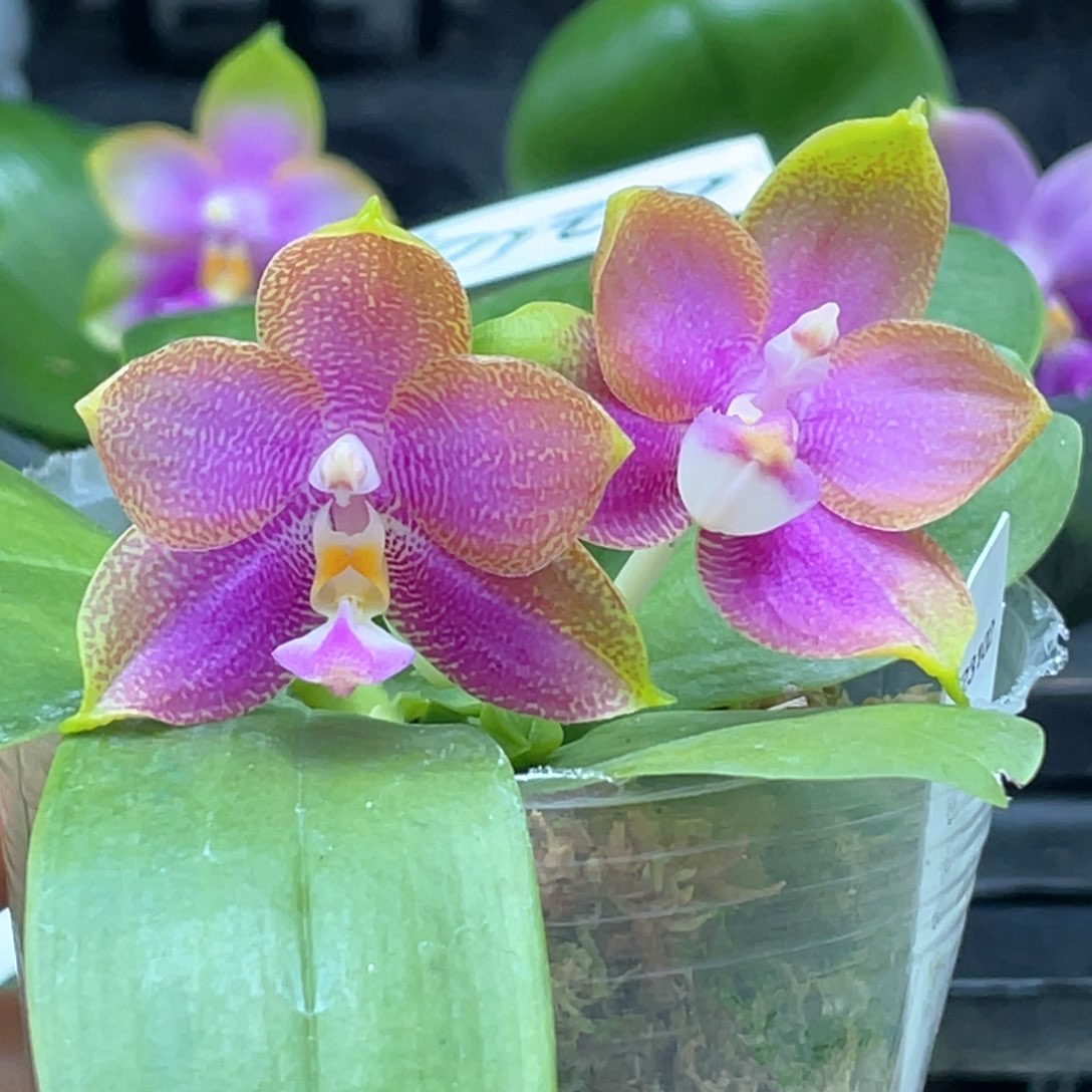 完全开放【亲亲亲亲亲亲亲】