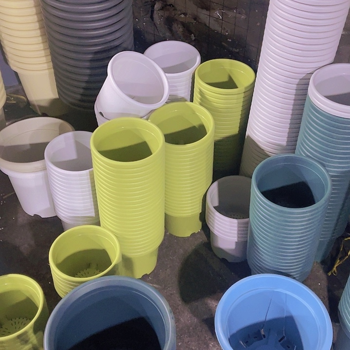 树脂锦鲤3号混色10个