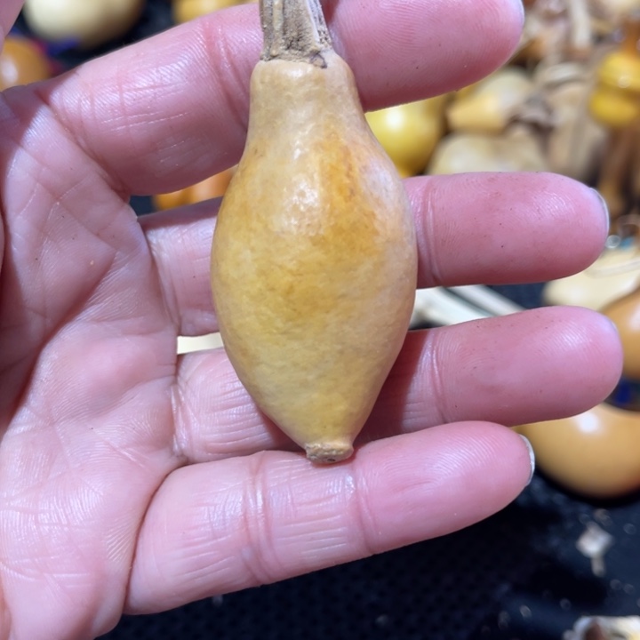 o***宝葫芦葫哈哈哈哈哈哈