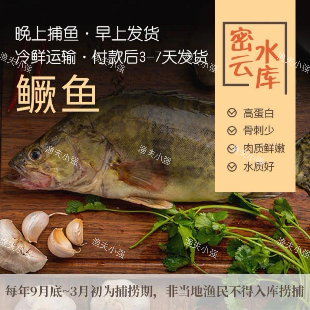 北京密云特产水库特产鳜鱼野生鱼