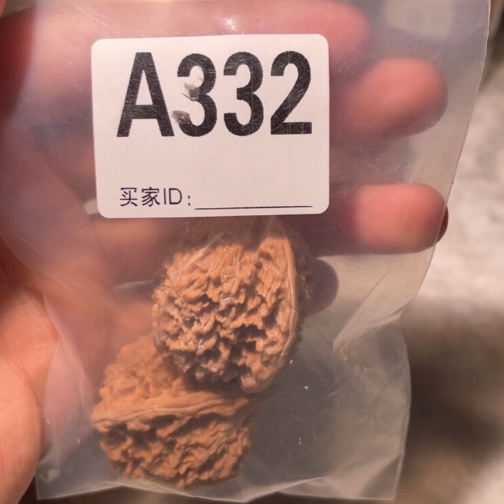 文玩核桃把件霸*龙332满天星