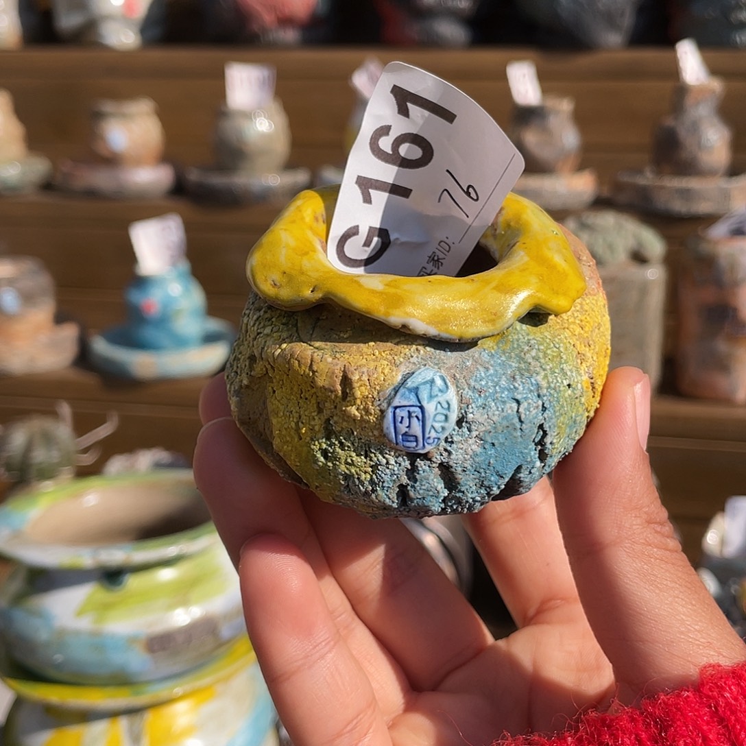 坛子姐花盆 小白孤品 内口3左右 百搭