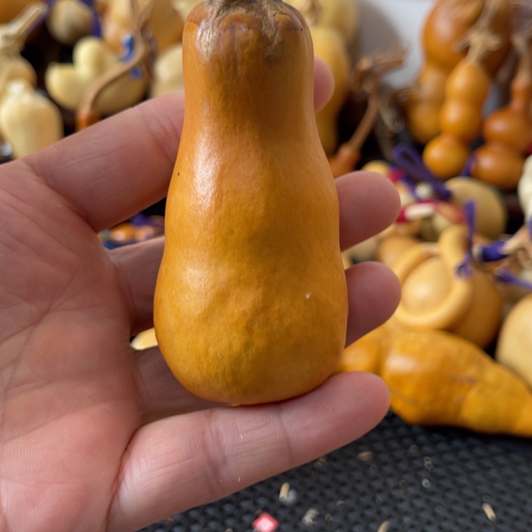 下***拳葫芦哈哈哈哈哈哈哈哈哈哈