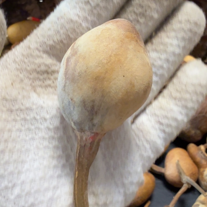 ****姐77777777778888888889