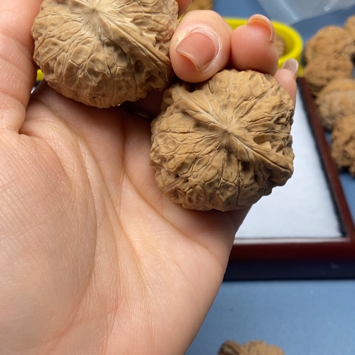 鶴43南瓜墩文玩核桃