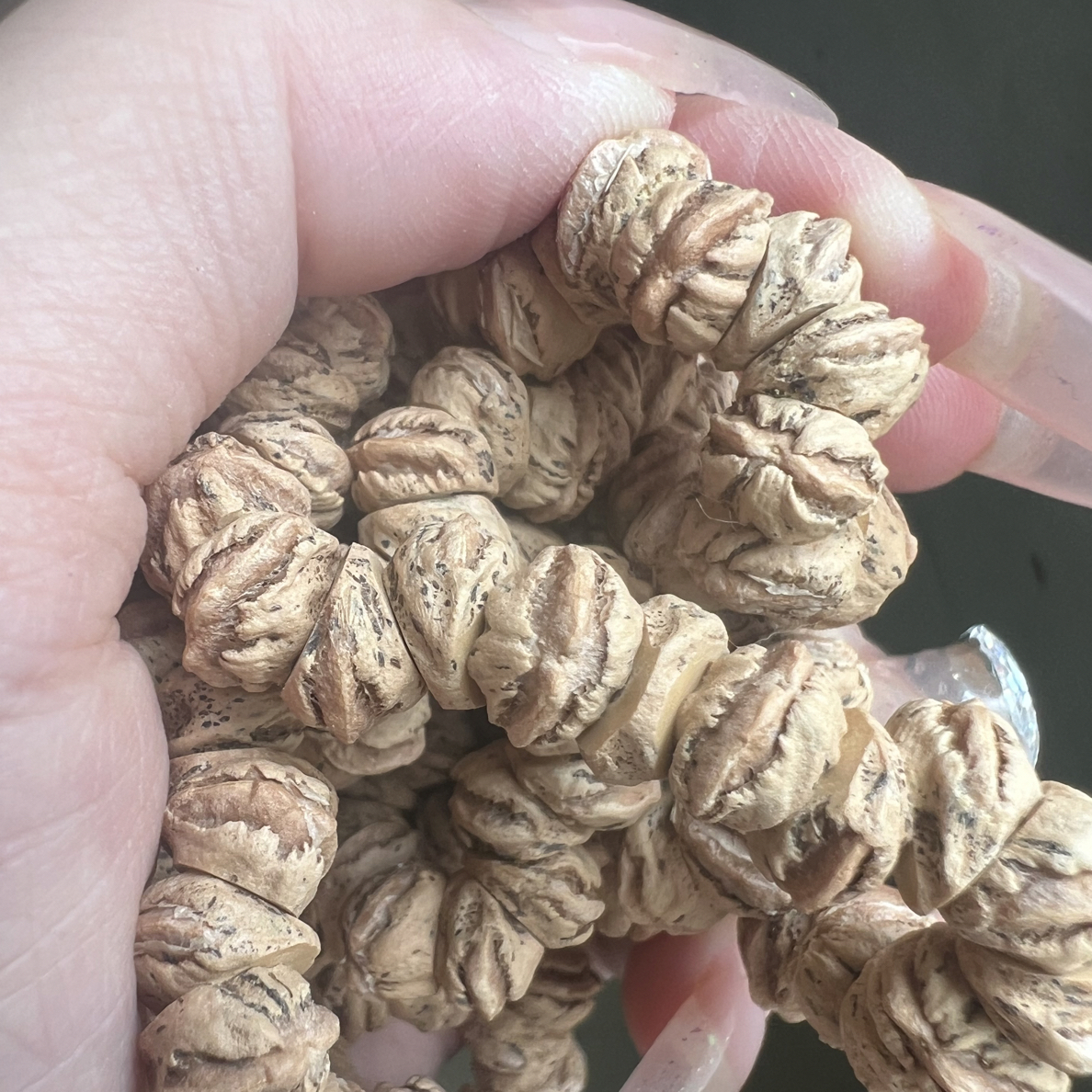 热振高油密吞噬办牙侧切斜打百香籽长串108