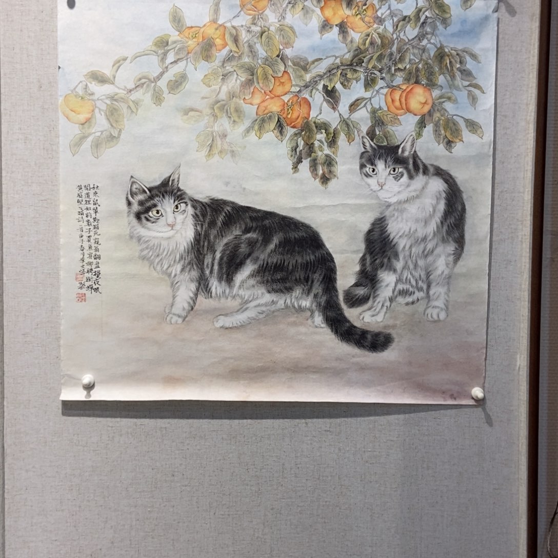 【闪购商品】国画道*墨鱼精品墨鱼精品