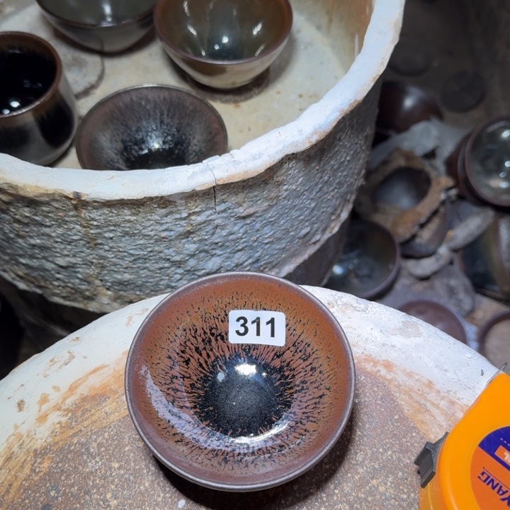 茶盏提出解决农村留守学生入学