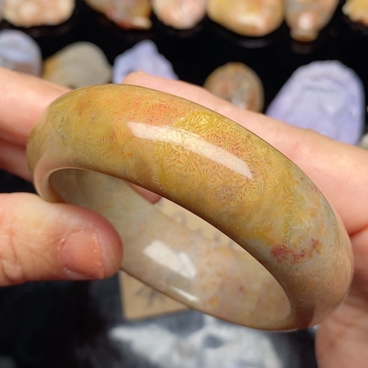 硅化珊瑚（珊瑚玉）手镯未镶嵌53.5