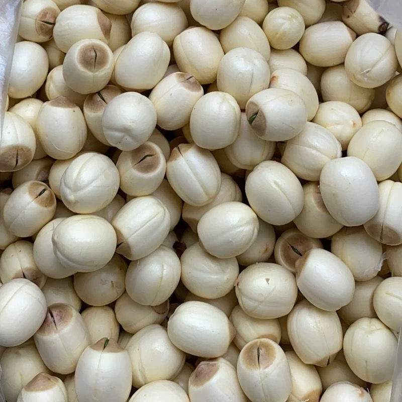 乡里阿蓉【新鲜莲子】潮汕特产纯手工当季新货易炖煮粉糯清香煲甜汤