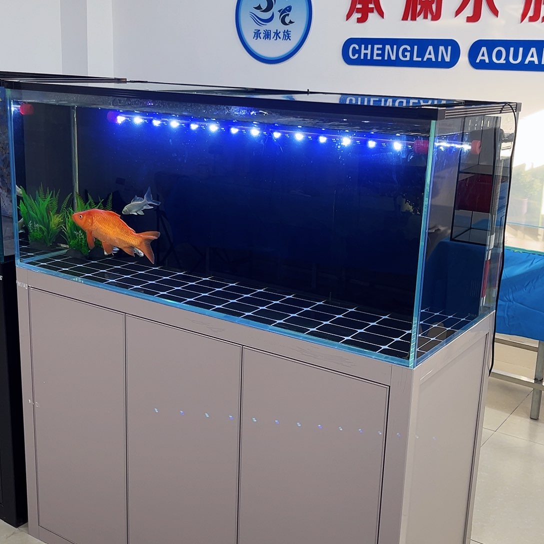 玻璃黑*120/50背滤双鱼马桶玻璃盖带全套
