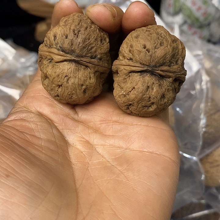 核桃云南铁核桃基地114