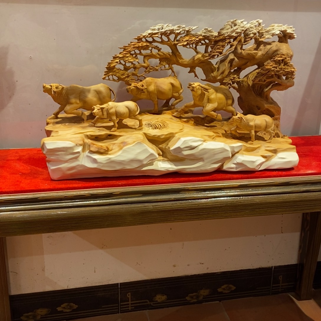 得***文柏木（崖柏）。。。。。。。