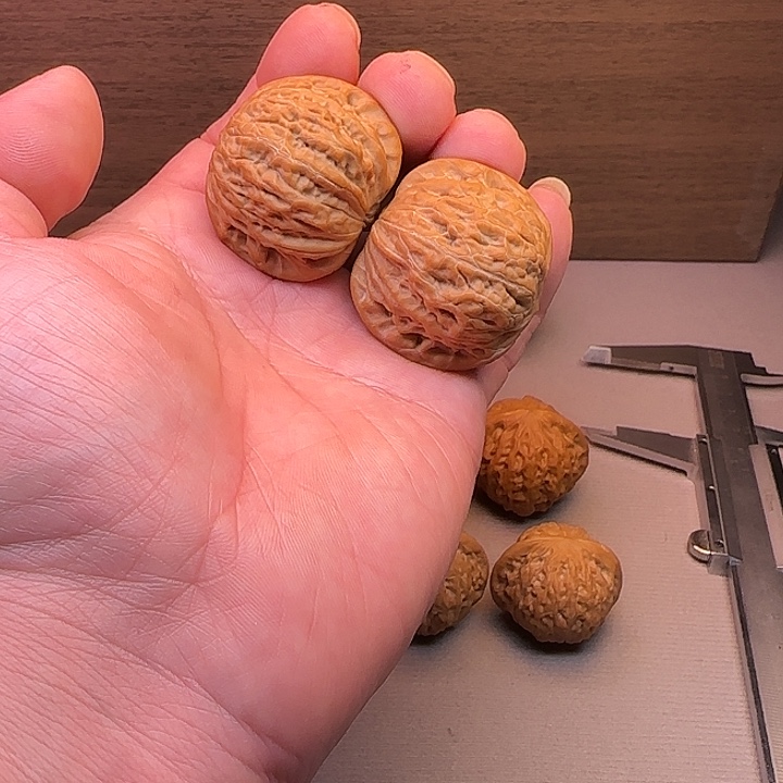 2***_核桃铁锤妹妹文玩核桃39