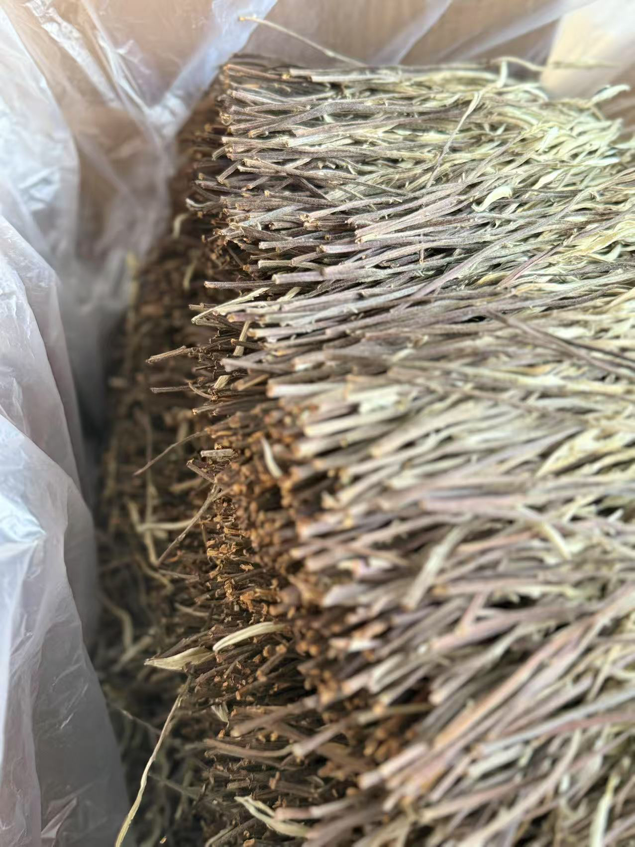 稀有种 紫茎 白茶 普洱茶白茶100克