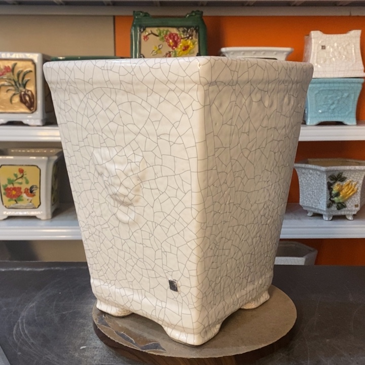 红陶噜**啦花盆的颜色也是