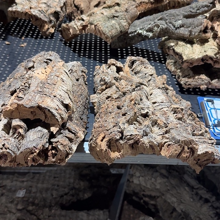 慈***力无花朵一物一拍一物一发