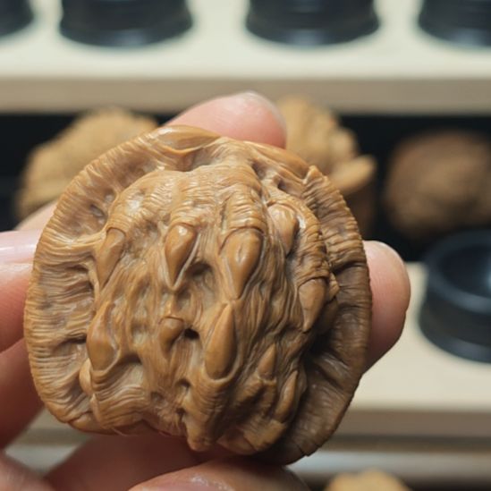 大叶紫檀（黑酸枝木类）吞噬