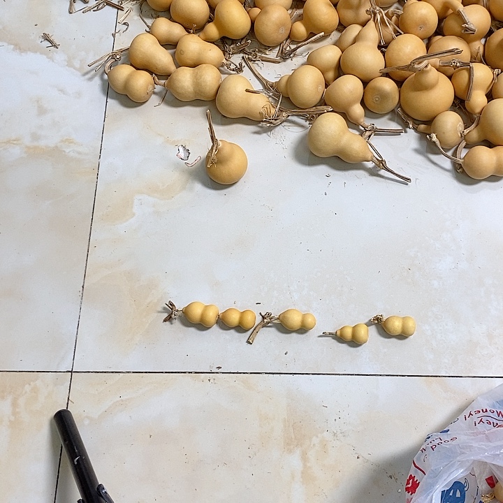 小****?挑选葫芦五个链接